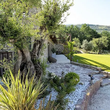 Villa Vita Villa Asís