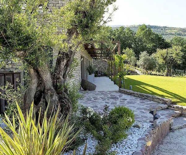 Villa Vita Villa Asís